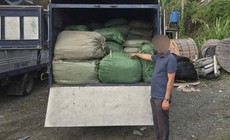 Tạm giữ xe chở hơn 2,6 tấn nguyên liệu thuốc lá không rõ nguồn gốc đang đi tiêu thụ