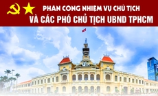 [Infographic] Phân công nhiệm vụ Chủ tịch và các Phó Chủ tịch UBND TPHCM nhiệm kỳ mới