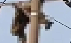 Nam sinh lớp 8 tử vong trên cột điện trung thế