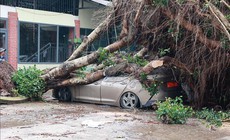 Những khu vực có dông lốc mạnh nhất trong ngày 23/4 do không khí lạnh tác động