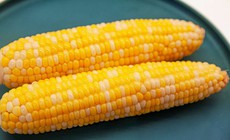 Điều bạn cần biết khi ăn ngô luộc buổi sáng để giảm cân