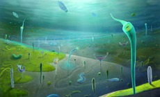 Phát hiện hóa thạch có thể hé lộ tổ tiên thật sự của loài người