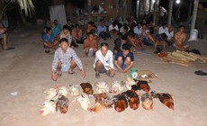 Phá sới đá gà ăn tiền, tạm giữ 35 người