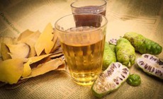 Rễ nhàu có tác dụng gì?