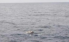 Tìm thấy thi thể ngư dân mất tích sau nhiều ngày tìm kiếm