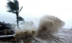 Biển Đông có đón bão trong những ngày tới?