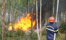 Ngày mai nắng nóng lan rộng ra toàn miền Bắc, cảnh báo nguy cơ cháy rừng