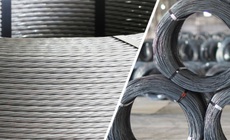 Công ty Xuất nhập khẩu Thiên Nam vi phạm chứng khoán