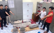 Đột nhập di tích chùa Nôm, trộm nhiều hiện vật bằng đá