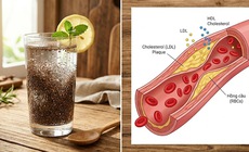 Cách uống nước hạt chia có thể giúp giảm cholesterol và hỗ trợ tim mạch
