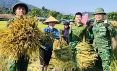 Công an, bộ đội dầm mưa giúp dân cứu lúa sau dông lốc ở Nghệ An
