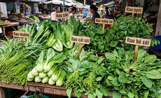 5 loại rau nên ăn trước bữa chính để giảm cân hiệu quả