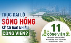 Trục đại lộ sông Hồng sẽ có bao nhiêu công viên?