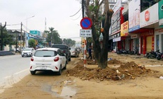 Đề nghị truy tố vắng mặt Chủ tịch công ty cây xanh Công Minh