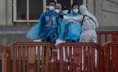 Virus Hanta: EU tăng cường chia sẻ thông tin nhằm nâng cao hiệu quả ứng phó