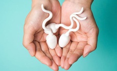 Số lượng tinh trùng của nam giới bao nhiêu là ít?