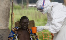 WHO tuyên bố dịch Ebola là tình trạng khẩn cấp toàn cầu