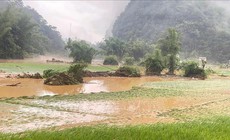 Cao Bằng: Mưa lũ cục bộ khiến 9 xóm bị ngập lụt, 1 xe khách bị cuốn trôi