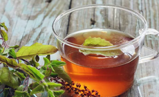 3 loại lá thông dụng hỗ trợ điều trị tăng huyết áp