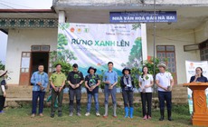 Trồng 6000 cây bản địa ở Sơn La để phục hồi rừng tự nhiên