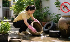 Vì sao sốt xuất huyết tăng mạnh vào mùa hè?