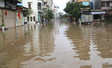 Mưa dông cấp tập đầu mùa gây thiệt hại khoảng 10,2 tỷ đồng