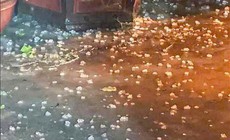 Hà Nội: Mưa đá bất ngờ tối 2/5, cảnh báo dông lốc diện rộng