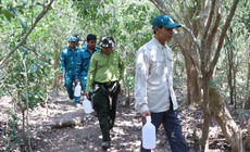 Những người lặng thầm giữ 'lá phổi xanh' cho nơi có nhiều loài động vật quý hiếm sinh sống