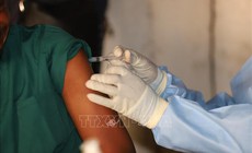 WHO: Nguy cơ bùng phát dịch Ebola trên toàn cầu ở mức thấp
