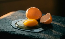 Nên dùng lòng trắng hay lòng đỏ trứng gà để làm đẹp da?