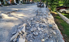 Thành ủy Hà Nội yêu cầu phường báo cáo vụ vỉa hè lát đá ‘bị đục phá’ để làm dải cây xanh