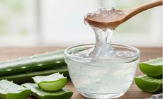 3 tác dụng của gel lô hội đối với tóc và da đầu