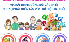 Vi chất dinh dưỡng rất cần thiết cho sự phát triển tầm vóc, trí tuệ, sức khỏe