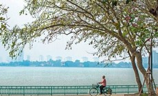 Miền Bắc giảm mưa, trưa chiều trời nắng