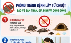 [Infographic] 5 khuyến cáo phòng bệnh virus Hanta
