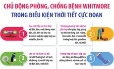 Chủ động phòng, chống bệnh Whitmore trong điều kiện thời tiết cực đoan