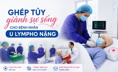 Ghép tủy giành sự sống cho bệnh nhân u lympho từng 'trắng' miễn dịch