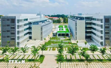 Thành lập phân hiệu, sáp nhập một số trường cao đẳng vào đại học