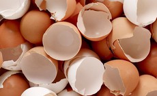 Vỏ trứng có tác dụng gì?