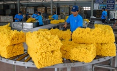 Cổ phiếu PHR được BSC khuyến nghị mua