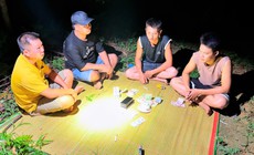 Khởi tố 8 đối tượng đánh bạc trên đồi quế