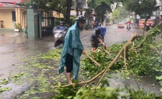 Dông lốc làm 1 người bị thương, nhiều nhà dân tốc mái ở Huế