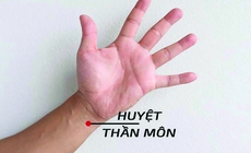 Phương pháp dưỡng sức để giữ ‘ngòi bút khỏe'