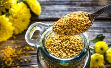 7 lợi ích tiềm năng của phấn hoa