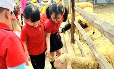 Nghỉ hè, phụ huynh Hà Nội tốn tiền triệu để 'giữ chân' con