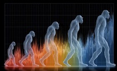 Tổ tiên loài người từng bất ngờ 'vươn vai Thánh Gióng' cách đây hàng triệu năm?