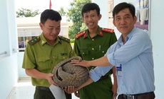 Phát hiện nhiều loài động vật quý hiếm, người dân liền mang về giao nộp cho chính quyền
