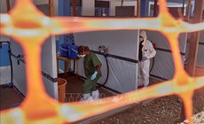 Dịch Ebola: WHO thử nghiệm 2 phương pháp điều trị tại CHDC Congo