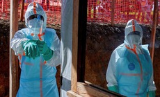 WHO thông báo số ca nghi nhiễm Ebola tại CHDC Congo giảm mạnh