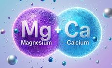 Có nên uống canxi và magie cùng lúc?